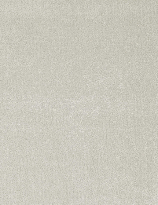 Ткань Zinc Lobby velvets Z283/01