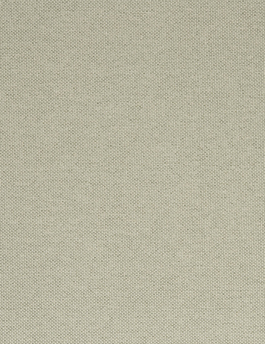 Ткань Designers Guild Cara FT1976/11