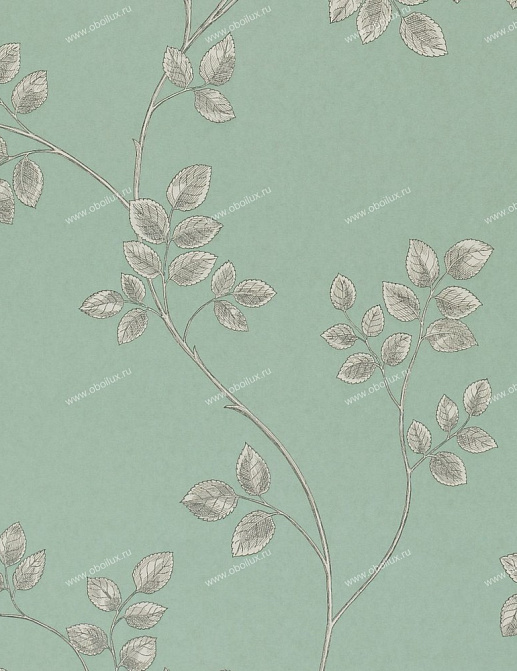 Обои Sanderson Classic Collection II DCLAFR105