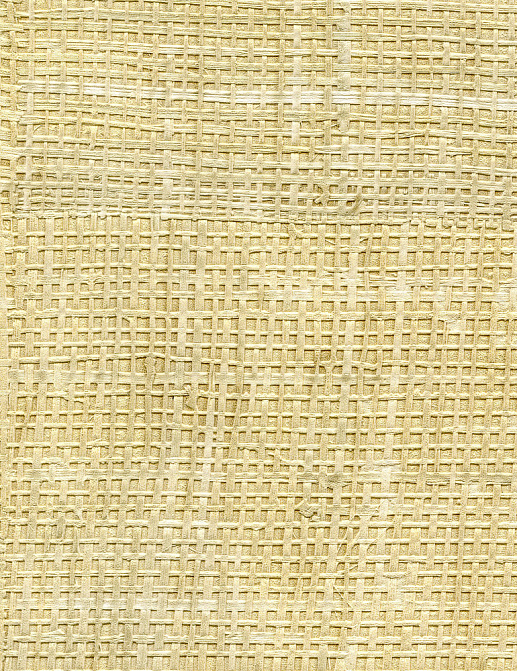 Обои Elitis Raffia & Madagascar VP60190
