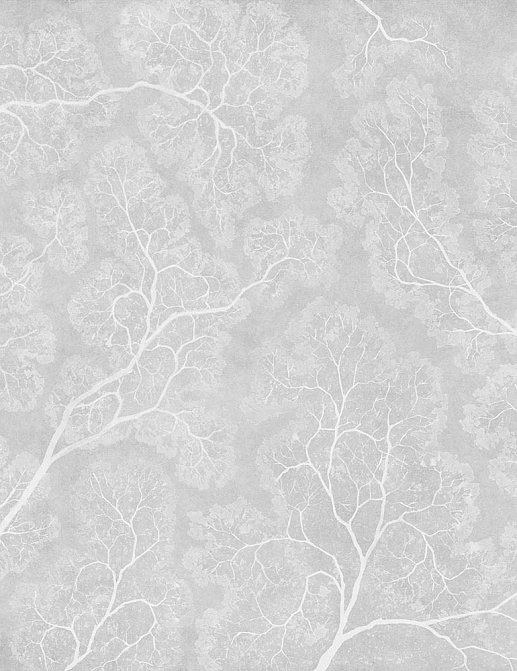 Панно и фотообои Factura Collection 2024 CROWNS/2