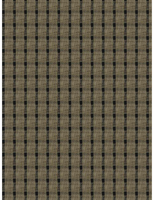 Ткань Fabricut Natural Nuances Vignettes Java OsageCheck/Noir