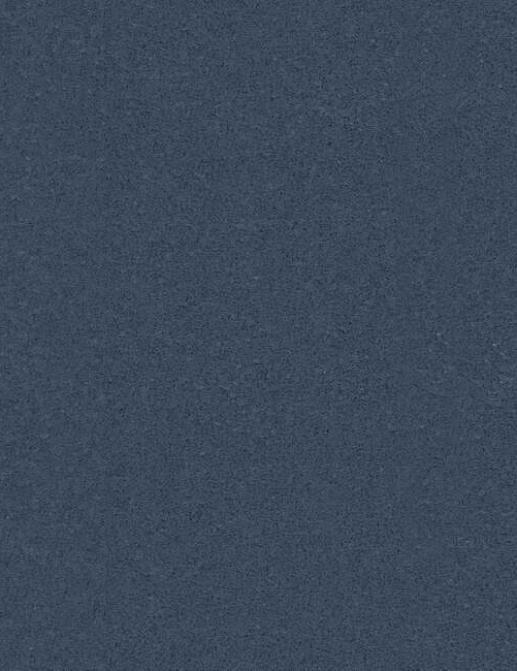 Обои Carlisle & Co Naturals LX1521