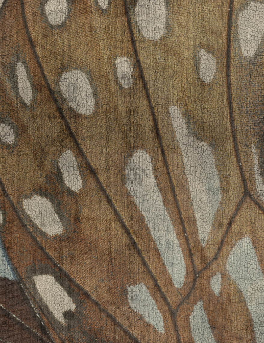 Обои Glamora Creative Wallcovering GLOPO111A