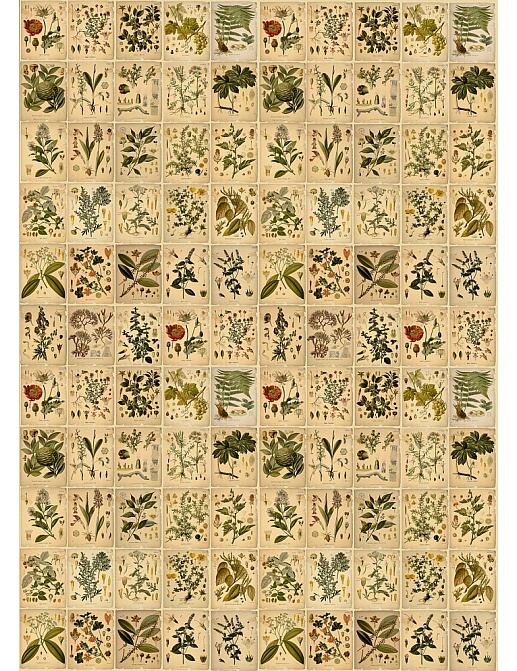 Панно и фотообои ID Wall Botanica ID048023
