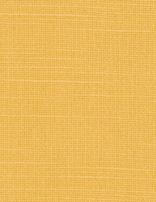 Ткань Designers Guild Salso F1797/30