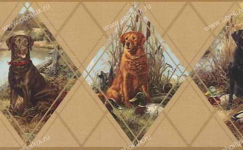Обои Chesapeake Field Guide FG35586B