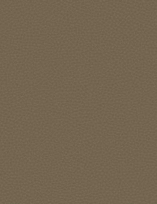 Обои Carl Robinson Edition 17 - Loft CR88016