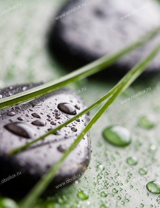 Панно и фотообои A. S. Creation XXL II 368 Black Stones On Green