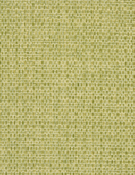 Ткань Designers Guild Bressay F2024/05