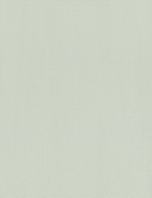 Обои Rasch Hyde Park 411881
