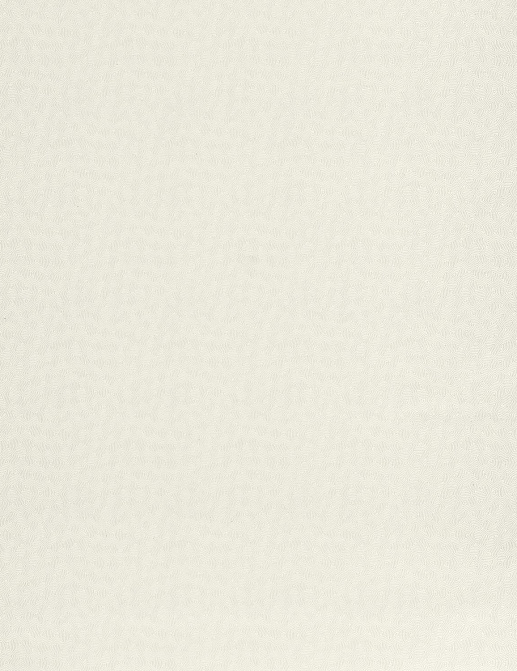 Обои Casadeco So White 4 SWHT84420121
