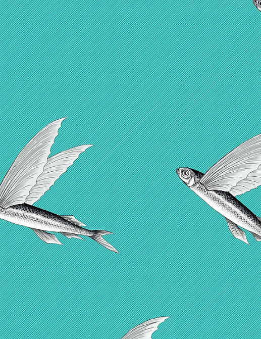 Ткань Flying Fish Interior Textiles П-2-Р