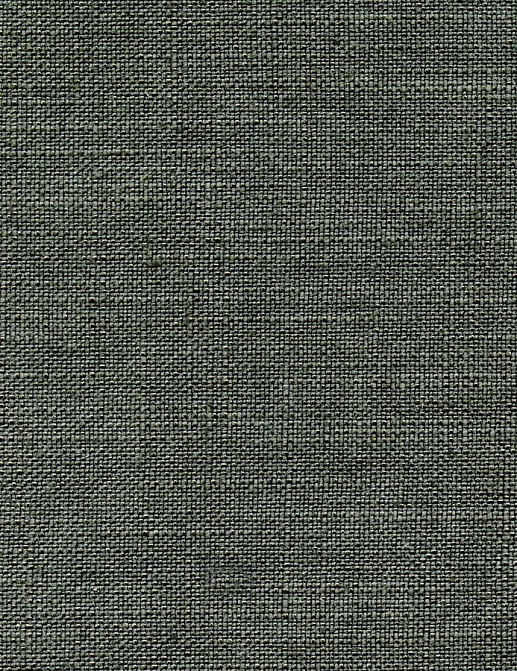 Ткань Elitis Solo LI 417 82