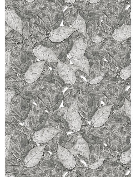 Панно и фотообои ID Wall Botanica ID048009