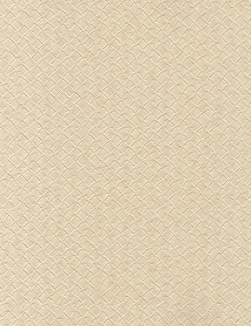 Обои Chivasso Casa CA8259-070