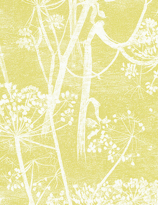 Обои Cole & Son The Contemporary Collection 66-7051
