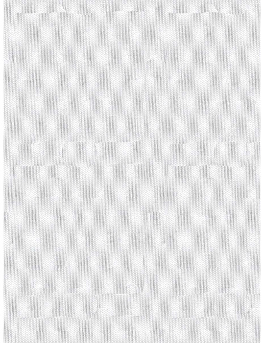 Ткань Fabricut Wide Natural Sheers Textural Breeze Pearl Foehn/Swan