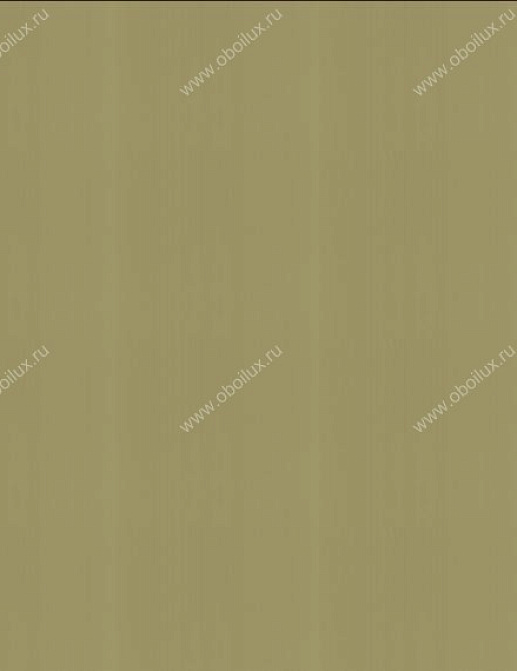 Обои Graham & Brown Spirit 50-060