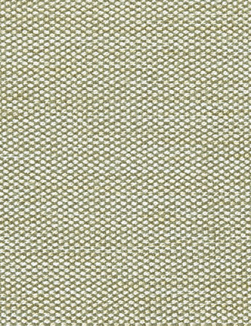 Ткань Designers Guild Rinzu F1599/04