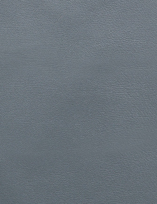 Ткань Holly Hunt Holly Hunt Leather 9250/38