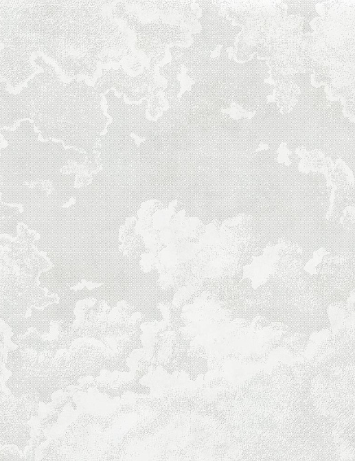 Обои Factura Collection 2021 VOLTA SELESTA/1