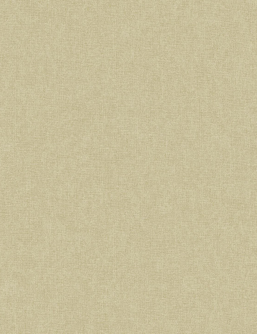 Обои Architector Sauvage KT10116