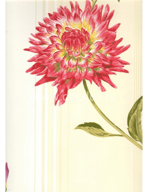 Обои York Antonina Vella - Botanica VB6740