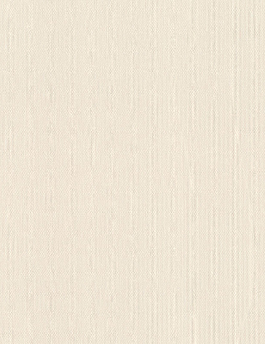 Обои Rasch Wall Textures XL Vol3 960761