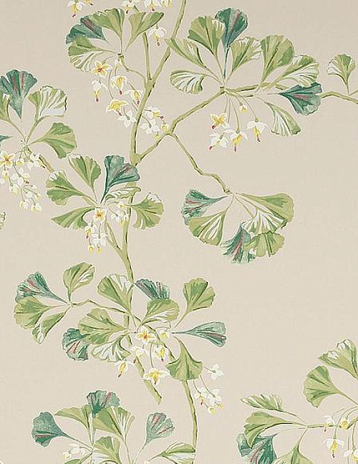 Обои Colefax and Fowler Jardine Florals W7004/01