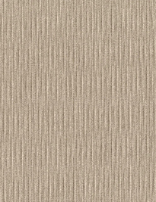 Обои Rasch Настенные структуры. Том 4 / Wall Textures XL Vol. 4 960709