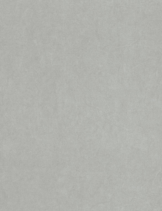 Обои Casadeco Cotton Touch COTO82389788