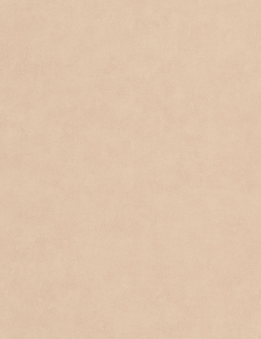 Обои Casadeco Leathers LEAT87131311