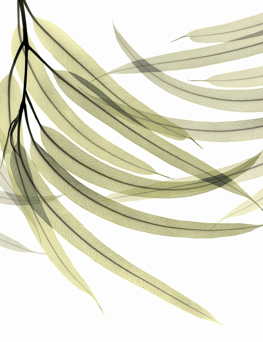 Обои Glamora Creative Wallcovering GL6071A