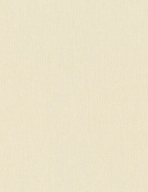 Обои Rasch Настенные структуры. Том 4 / Wall Textures XL Vol. 4 960778