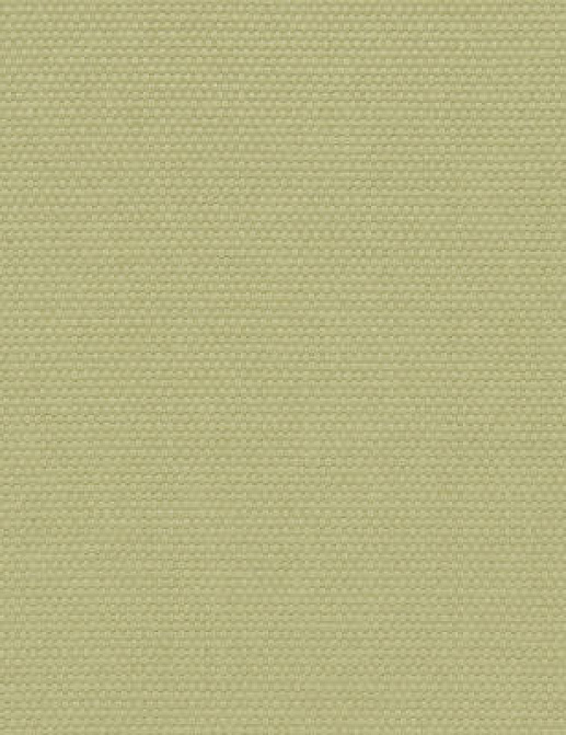 Ткань Designers Guild Salso F1796/08