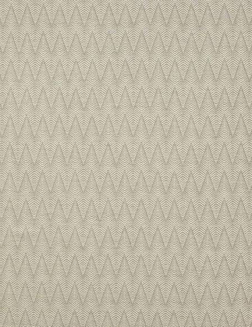 Ткань Colefax and Fowler Brett Weaves F4643/05