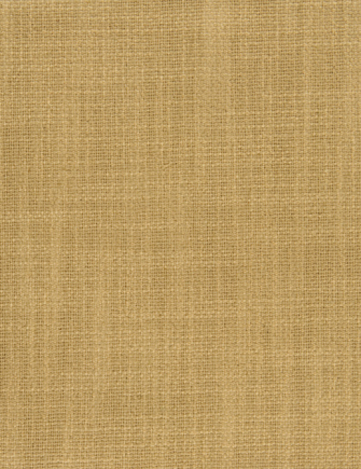 Ткань Designers Guild Panaro F1871/02