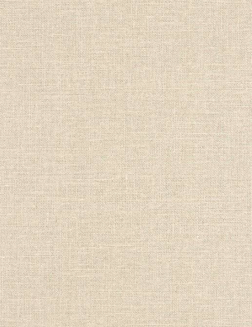 Обои Caselio Jute JTE104011230