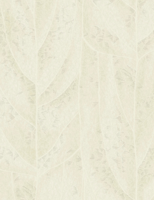 Обои York Natural Discovery (Candice Olson) NT6145