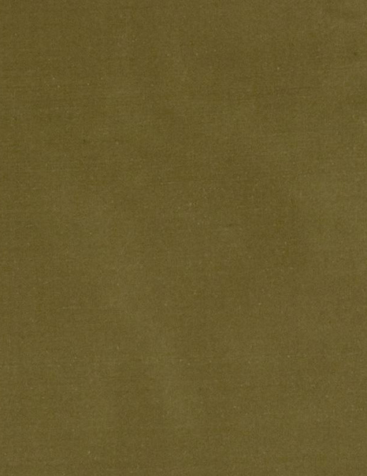 Ткань Fabricut Douppioni Silk Vol.II Multipurpose Douppioni silk/Avocado