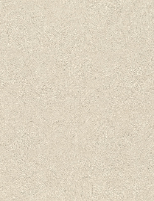 Обои Rasch Wall Textures XL Vol3 947465