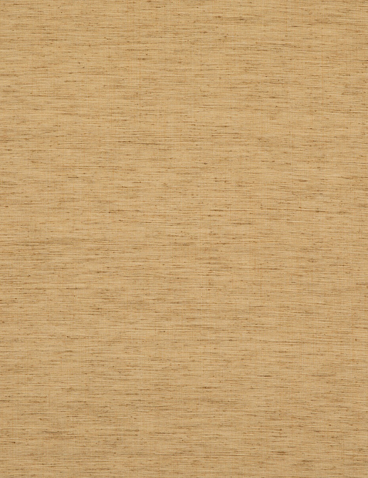 Ткань Baker Lifestyle Belgrave & Pavilion PF50477/840