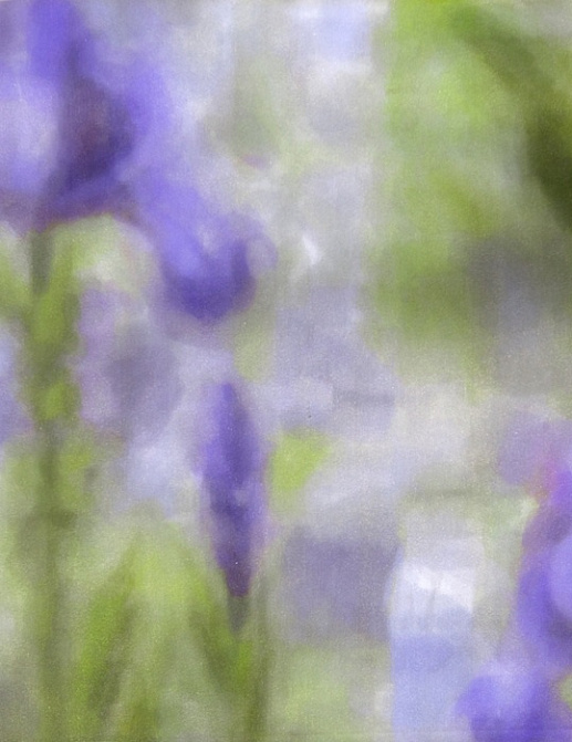 Ткань Galleria Arben Digital Art Iris/01
