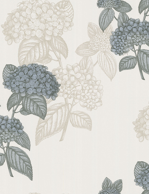 Обои Cole & Son Fornasetti 77/10037