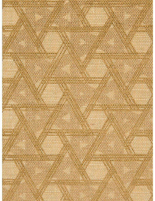 Обои Holland & Sherry Textured Collection DEWP7236/Kurama Phoenix