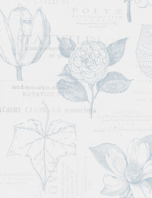 Обои Collection For Walls Northern Feelings 200605