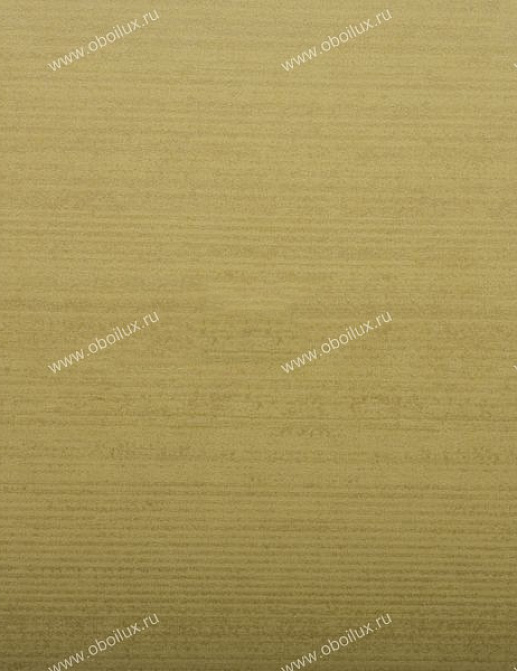 Обои Zoffany Plain & Stripes 2459003