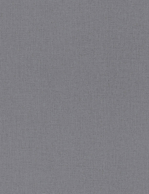 Обои Rasch Barbara Home Collection III 560145