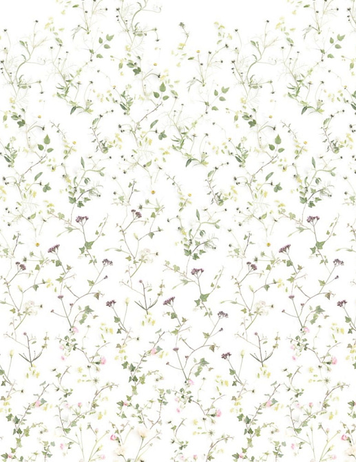 Обои Sandberg Flora Sandbergica 624-04